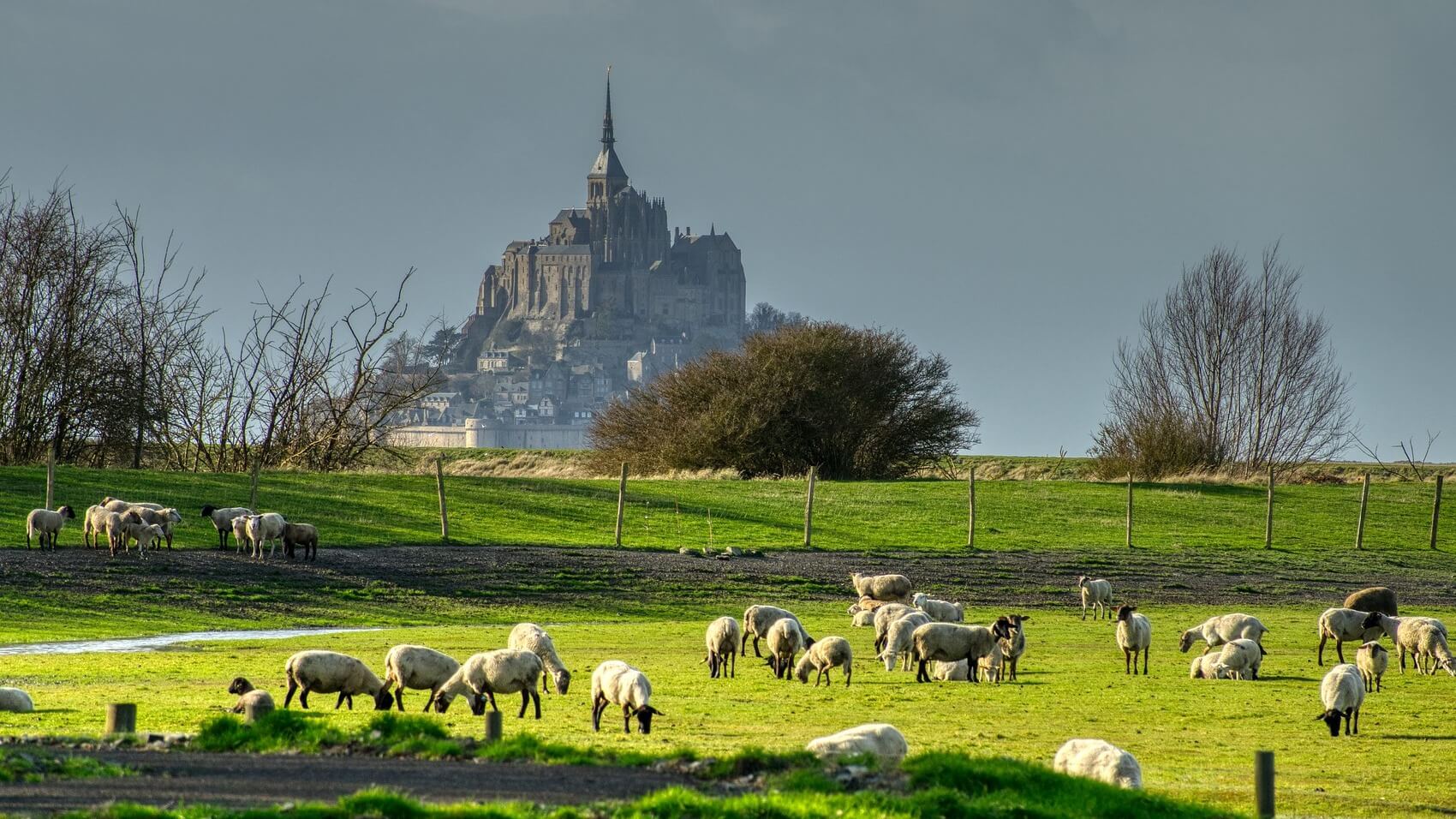 Tricoter des laines et fils made in France, c'est possible