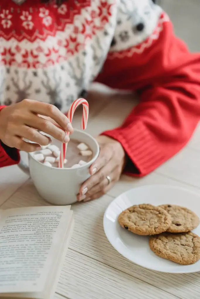 Les pulls de Noël peuvent aussi être plus traditionnels